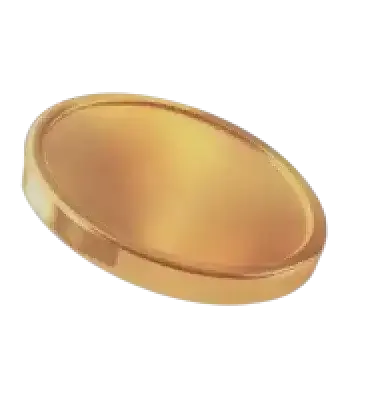 Vasto Lucrônio análise AI